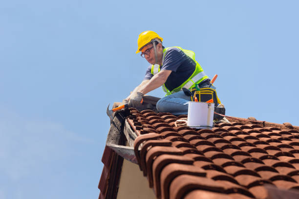 Professional Roofing in Fabens, TX